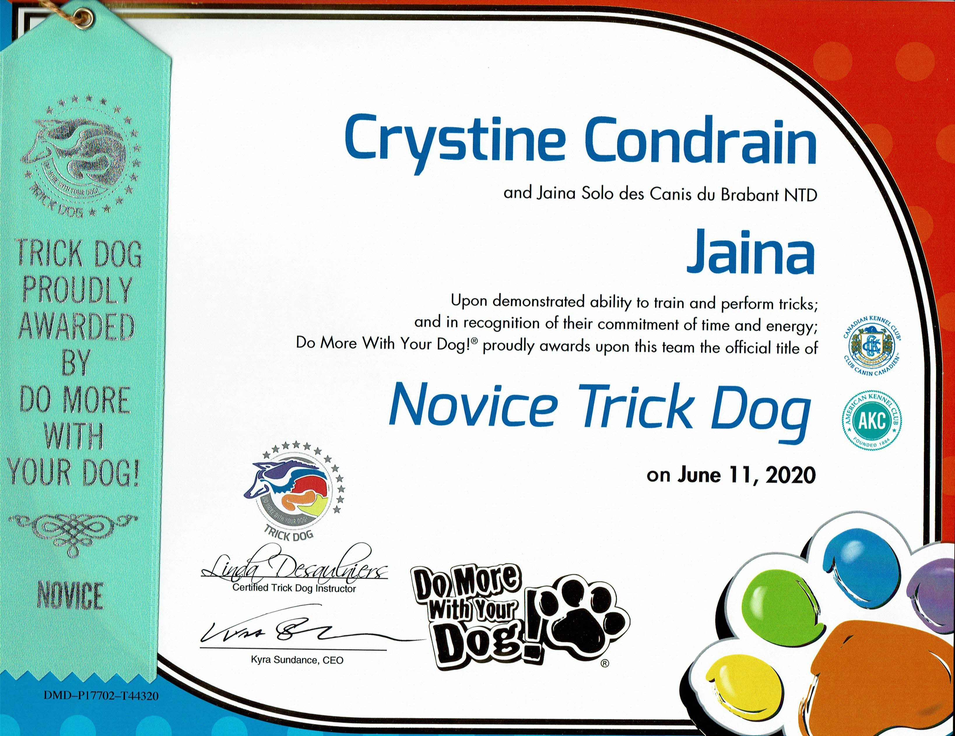 Certificat "Trick Dog" - Novice - Jaina 2020